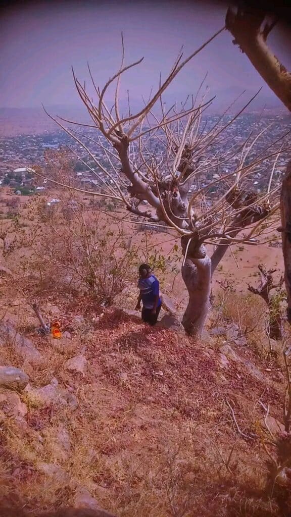 Young Girl Found Lifeless, Hanging From a Tree In Gombe (Photos)