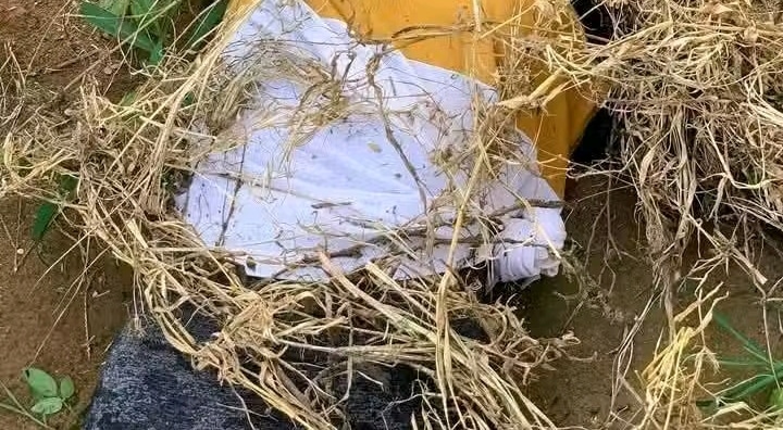 Young Girl's Lifeless Body Found In Akwa Ibom 1 Young Girl's Lifeless Body Found In Akwa Ibom