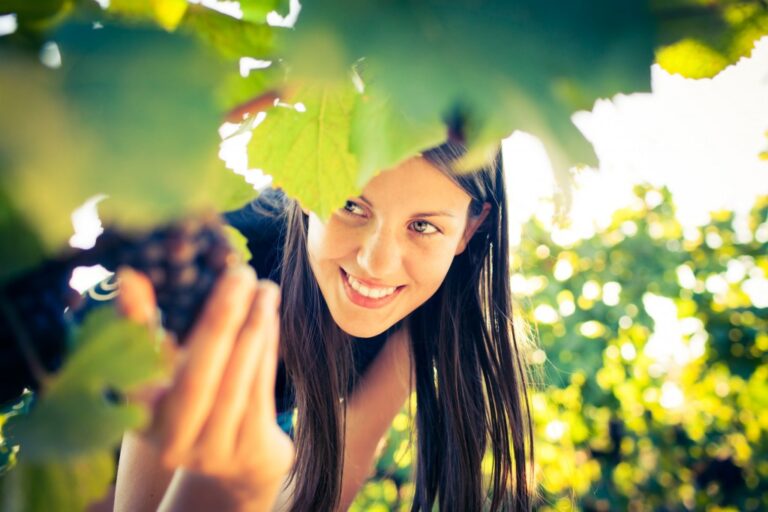 Fruit Picker Jobs in Canada with Free Visa Sponsorship | Eligibility & Application Guide