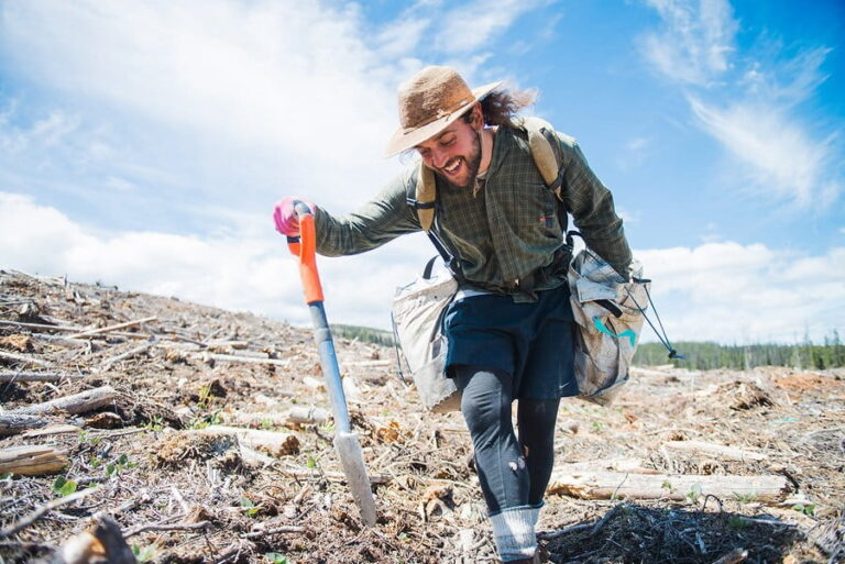 Tree Planter Jobs in Canada With Free Visa Sponsorship | Eligibility & Application Guide
